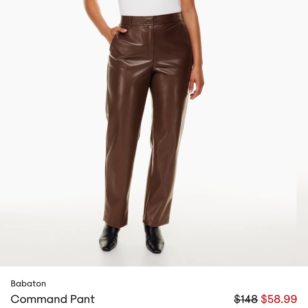 Command Pant Aritzia Leather Trouser